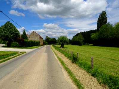 Petite route de campagne, Orne 