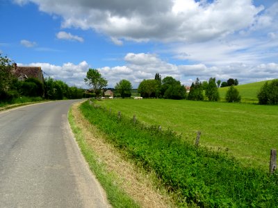 Petite route de campagne, tranquille et bucolique, entre M… 