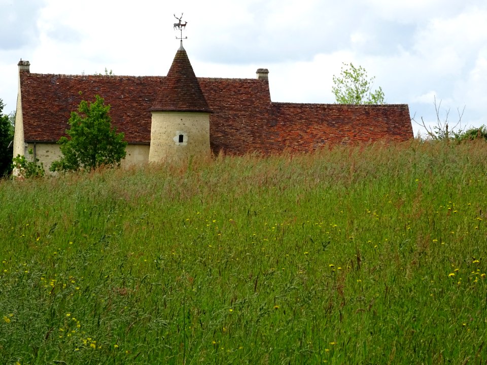 Toit aux tuiles mordorées, derrière une colline 