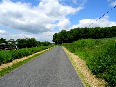 Route, route, route, quand tu me tiens ... 