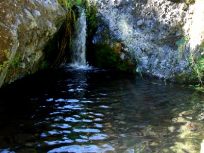 Une petite source fraîche 