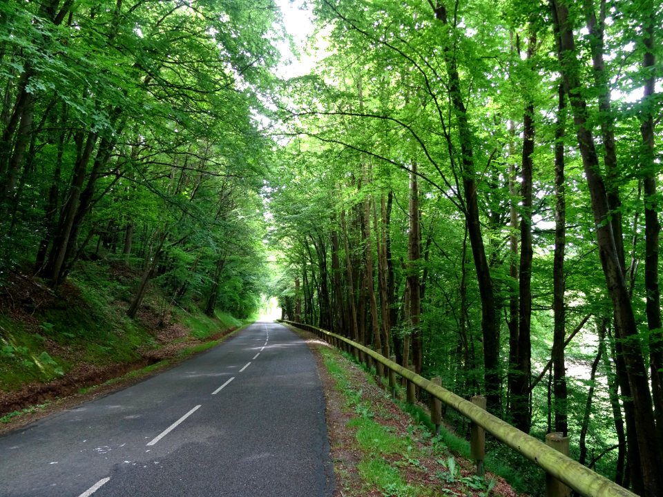 Descente dans le Bois de Montferré, Orne 