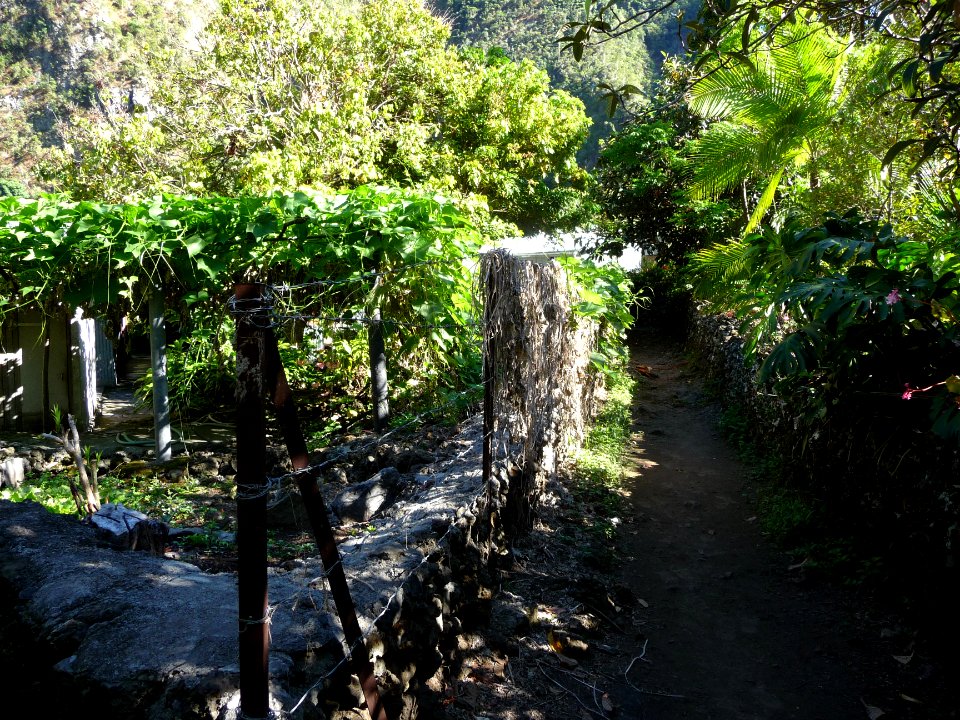 Une ruelle, Grand Bassin 