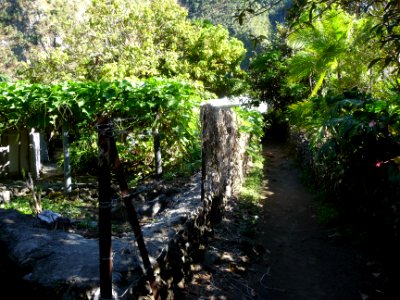 Une ruelle, Grand Bassin 