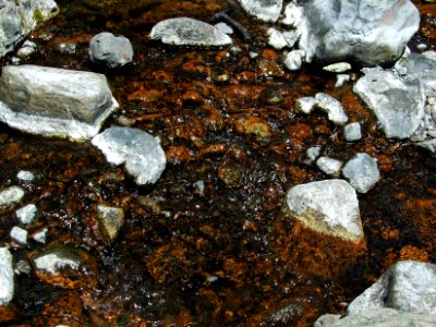 Reflets rouille dans la Rivière des Galets 