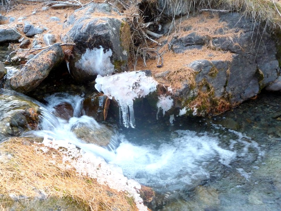 Stalagmites de glace et aiguilles de mélèze 