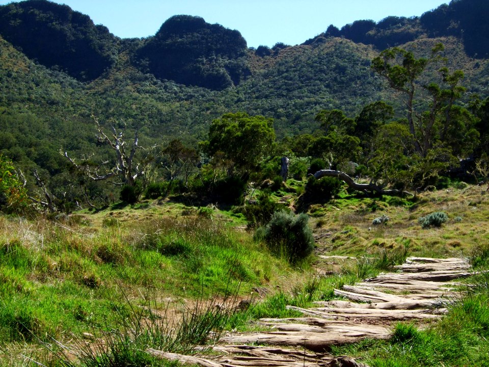 Sentier de rondins 