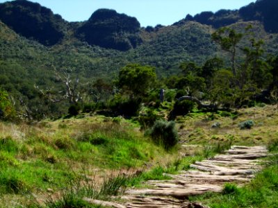 Sentier de rondins 
