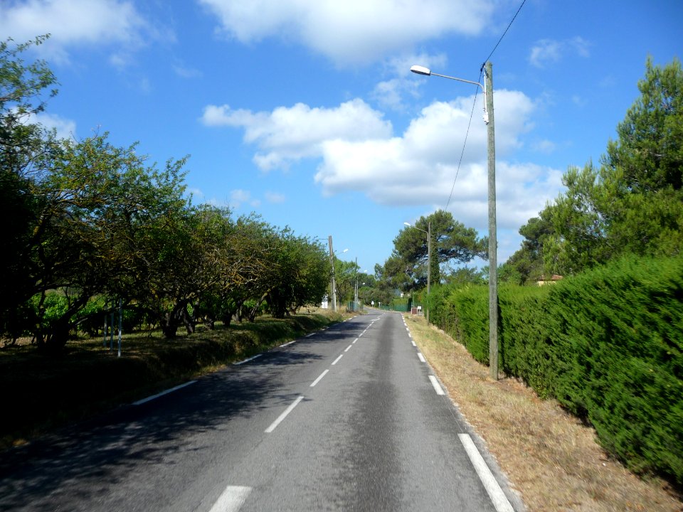 P1190452 