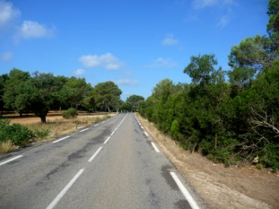 La D2 entre Signes et Le Camp (Cuges-les-Pins), Var 