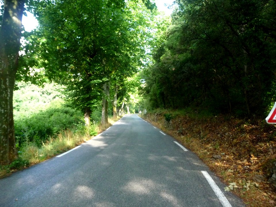 La petite route à l'ombre, D202 entre Méounes-les-Montrieu… 