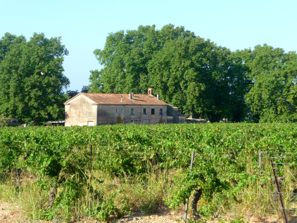 Maison dans les vignes, entre Puget-Ville et Pierrefeu-du-… 