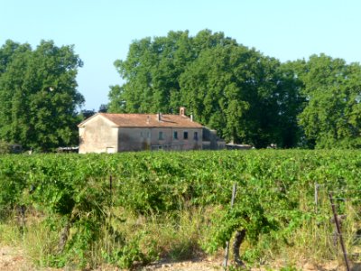 Maison dans les vignes, entre Puget-Ville et Pierrefeu-du-… 