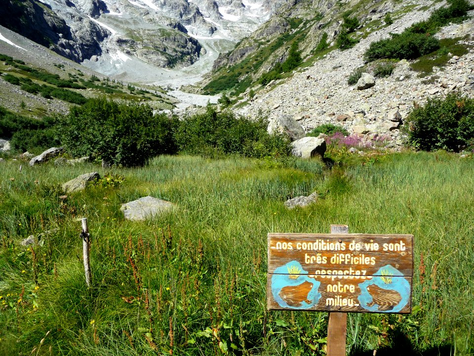 Protection du milieu naturel des grenouilles 
