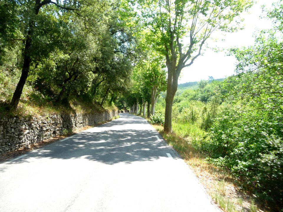 La petite D202 entre Signes et Méounes-les-Montrieux 