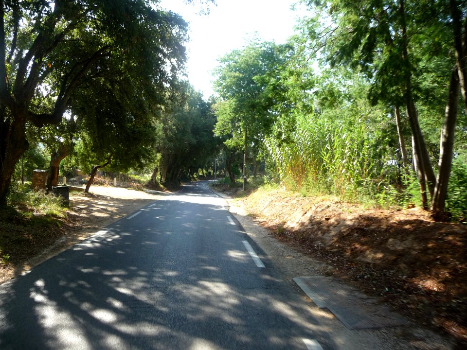 Route de la Londe-les-Maures, Var 