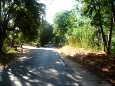 Route de la Londe-les-Maures, Var 