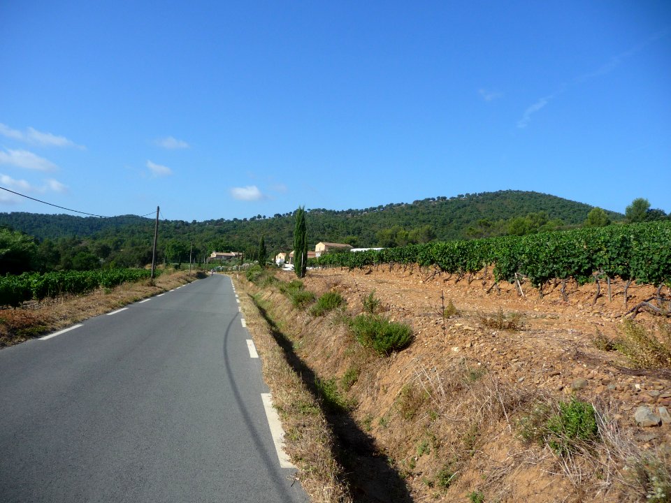 Vignes et route de la Londe-les-Maures, Var 