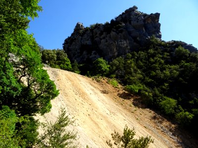 DSC07537 