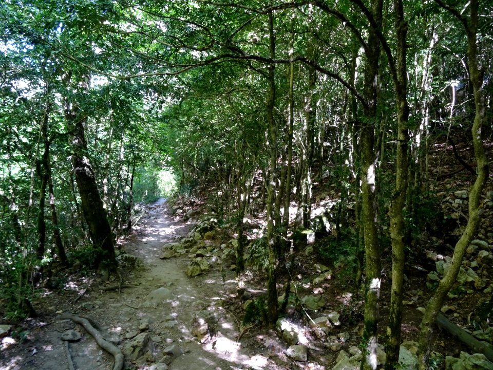 DSC07506 