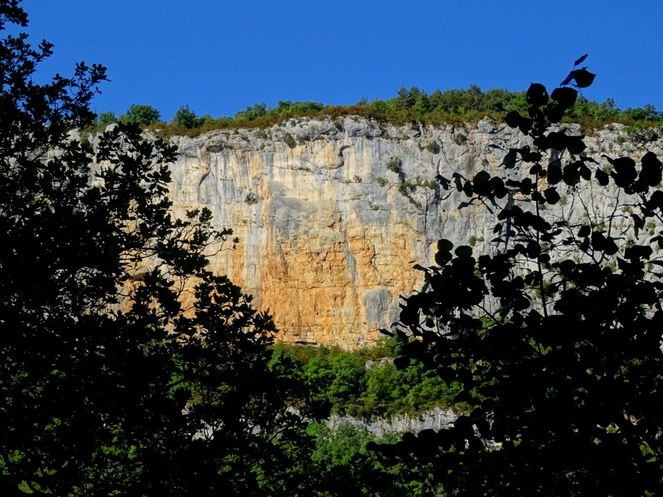 DSC07469 