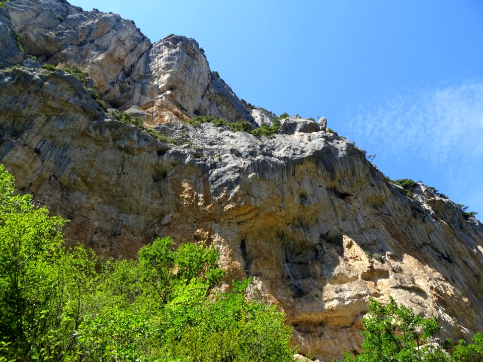 DSC07752 