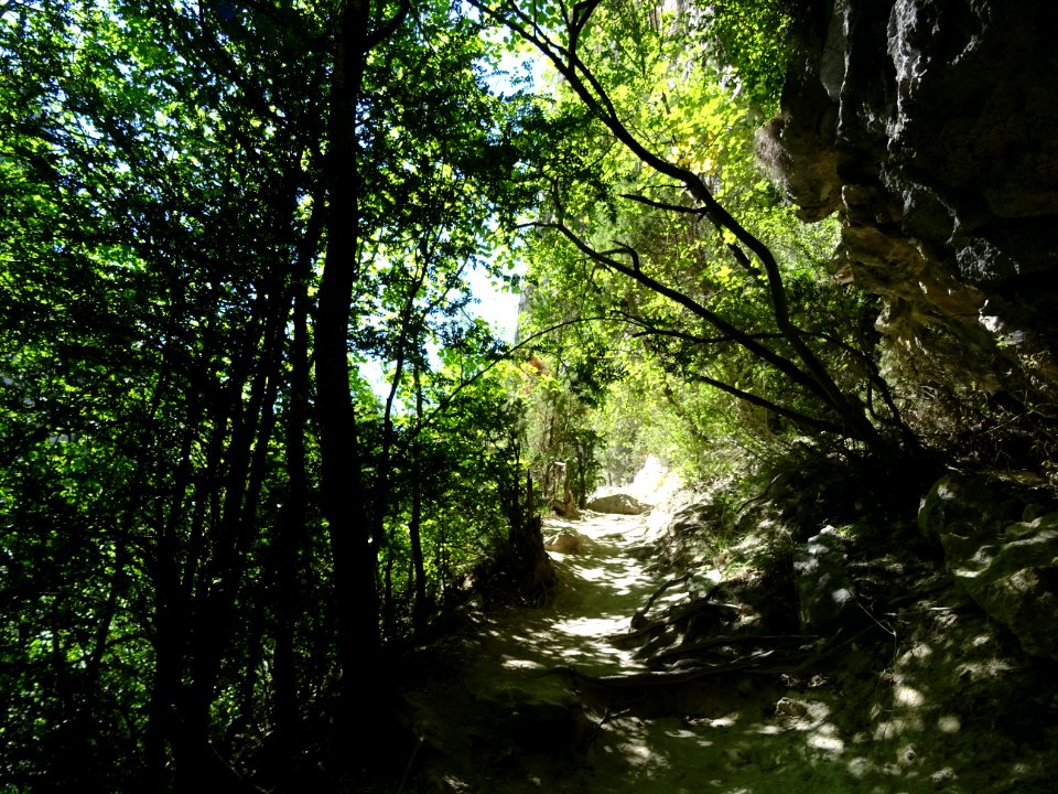 DSC07602 