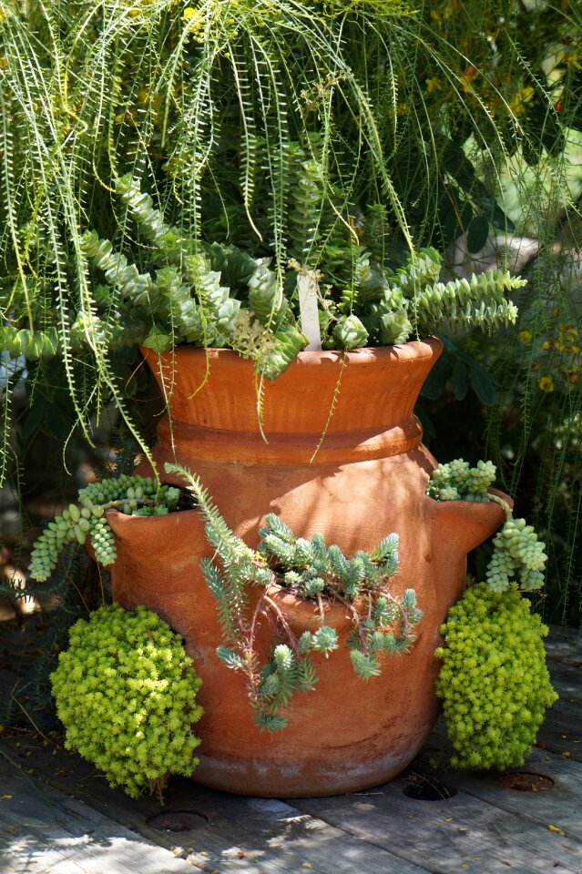 Gardening nature spring