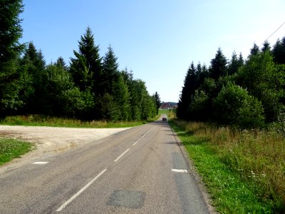 Traversée du bois des Voigières 