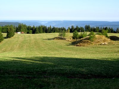 Prairie de la Jumenterie, 2 km avant le sommet du Ballon… 