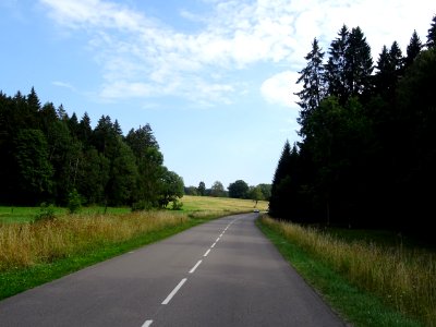 Le coin du bois, Doubs 
