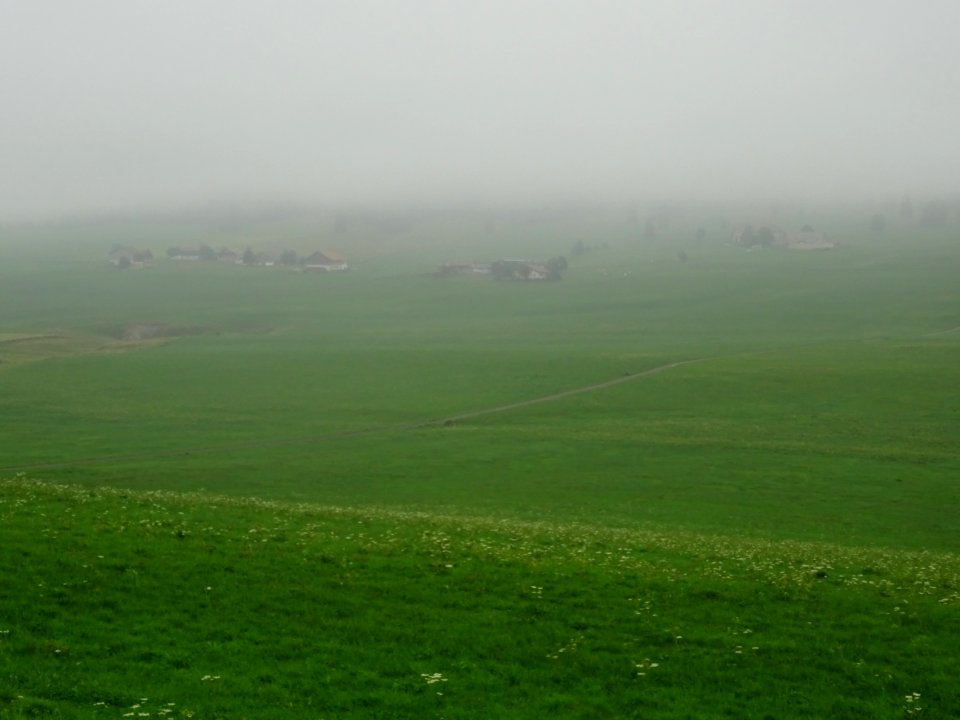 Ambiance humide dans le Jura suisse 