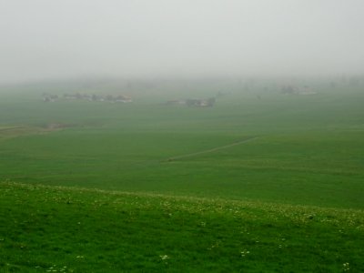 Ambiance humide dans le Jura suisse 