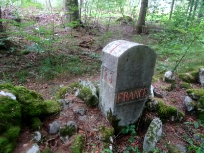 Borne Frontière France-Suisse au fond des bois 