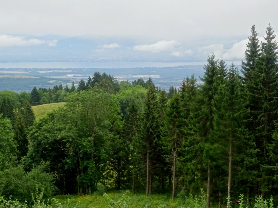Dans la decente du Col de la Faucille, sous la pluie, vue … 