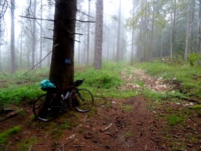 Frontière France-Suisse au fond des bois, mais qu'allait-i… 