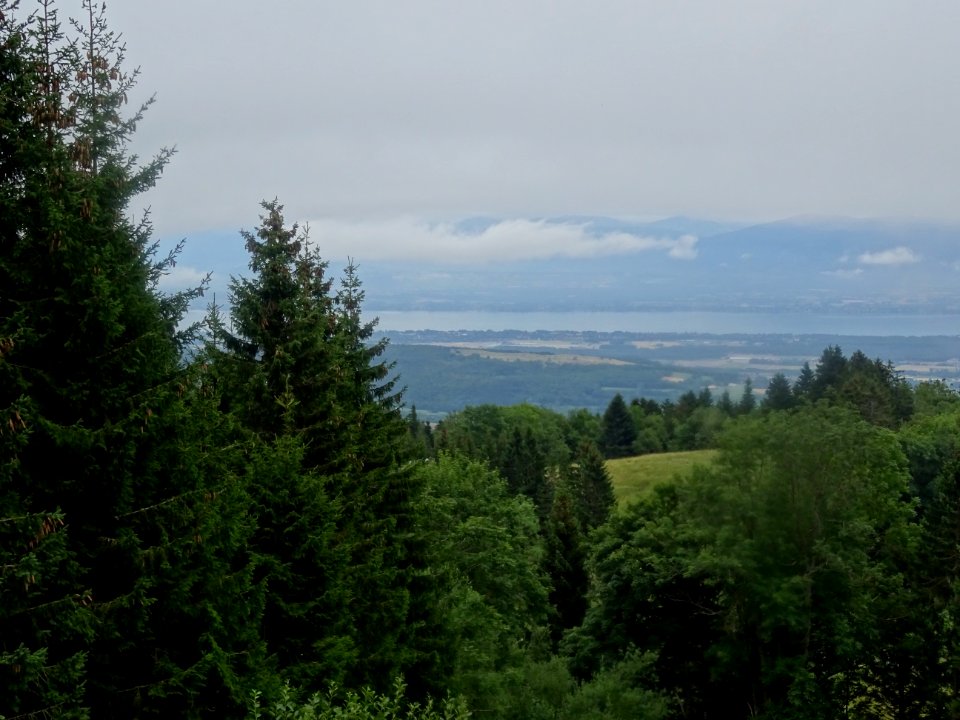 Dans la decente du Col de la Faucille, sous la pluie, vue … 