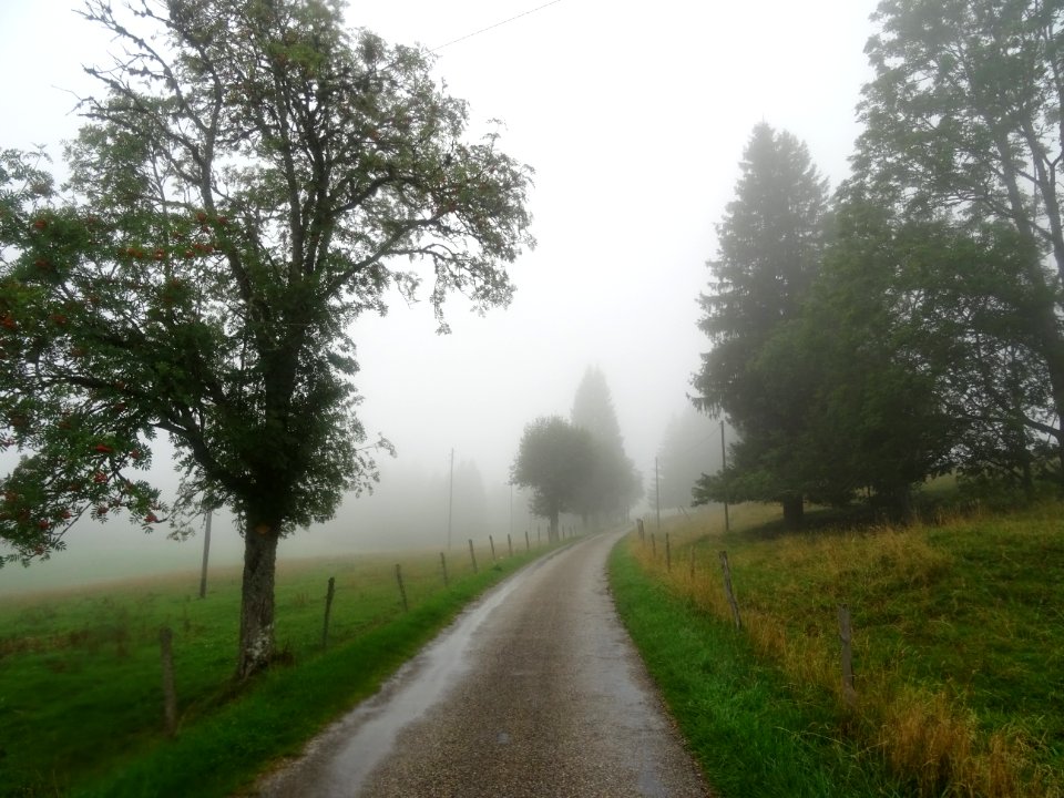 Suite ... la petite route du bout du monde qui monte au Co… 