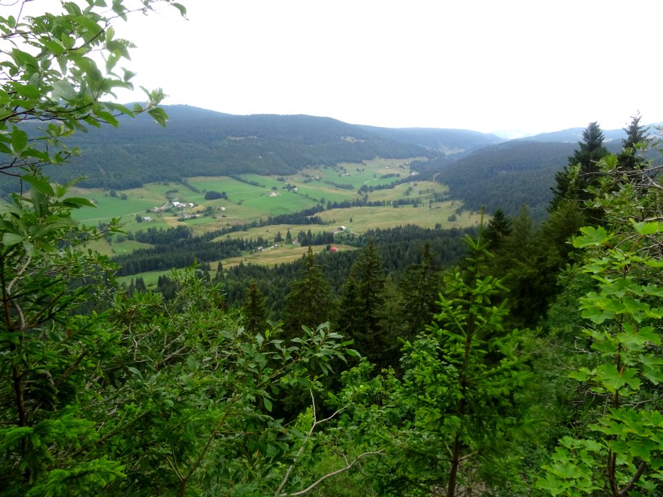 Vue sur la vallée de Mijoux, depuis la route du Col de la … 