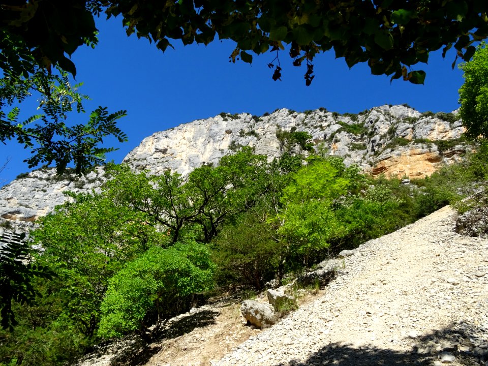 DSC07518 