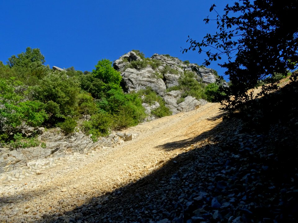 DSC07544 