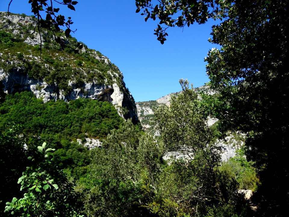 DSC07562 