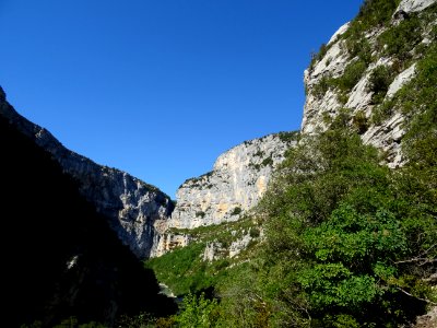 DSC07535 
