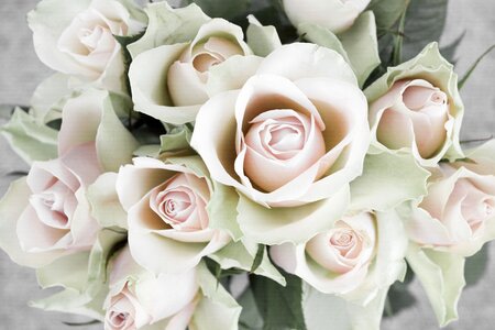 Wedding flowers romantic photo