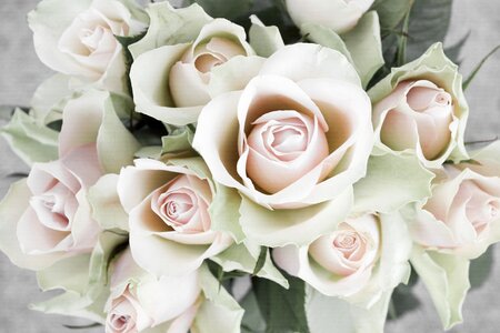 Wedding flowers romantic