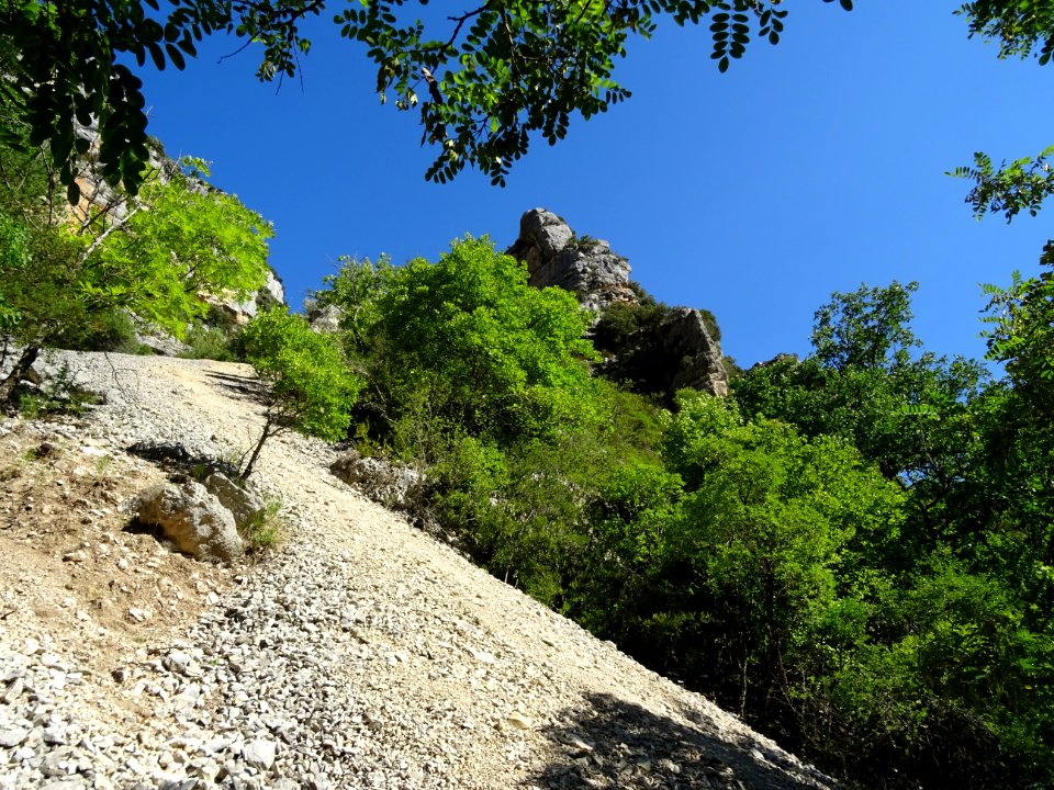 DSC07517 