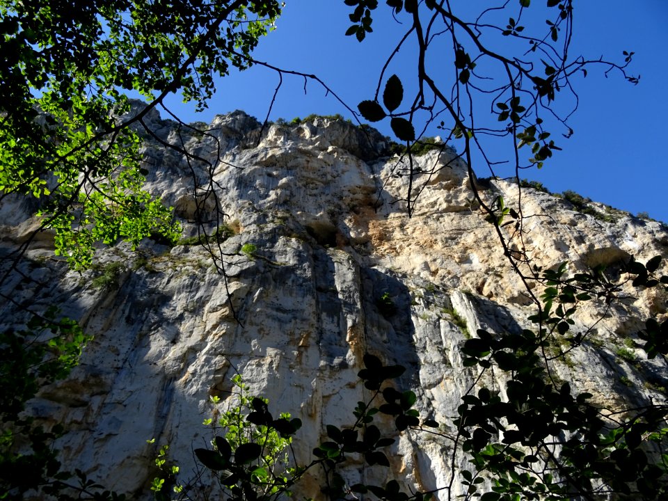 DSC07505 