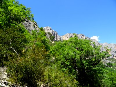 DSC07723 