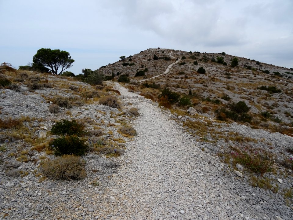 Le sentier qui mène au Mont Puget 