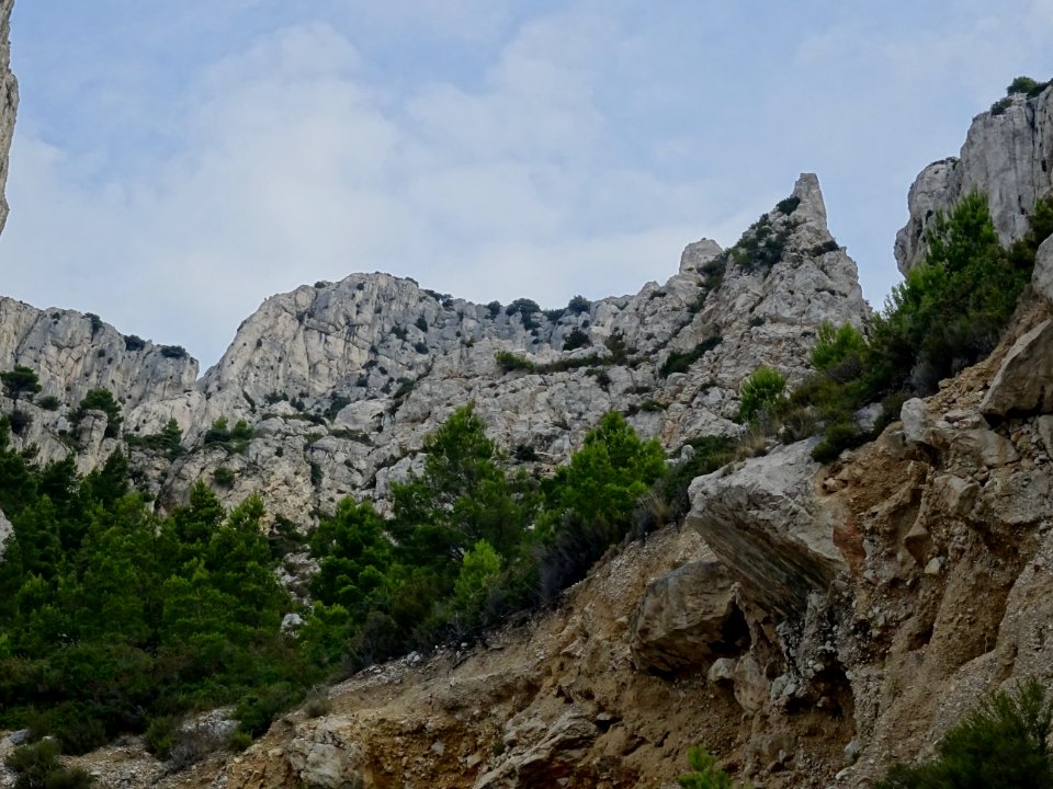 DSC08117 
